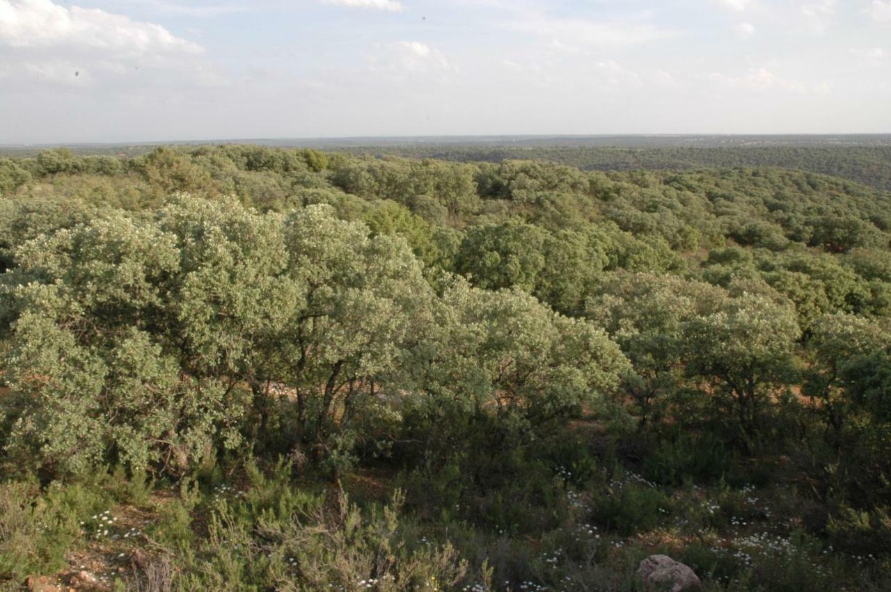 Casa Rural La Ossa Ossa de Montiel Bagian luar foto