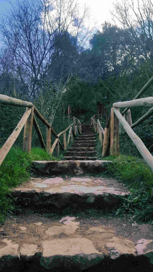 Casa Rural La Ossa Ossa de Montiel Bagian luar foto
